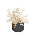Image Not Available
